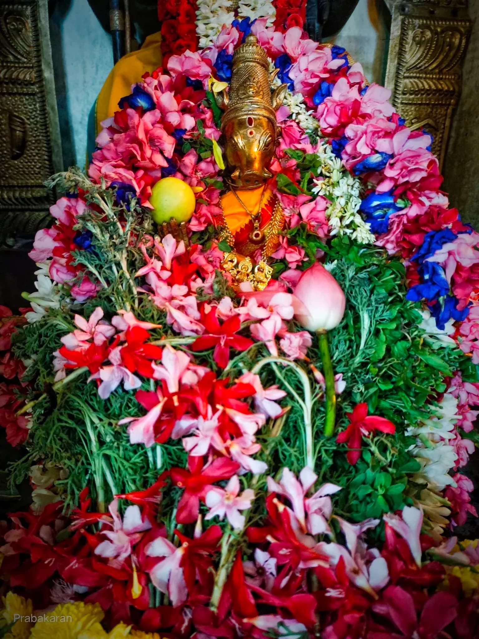 Sri Varahi Temple 19