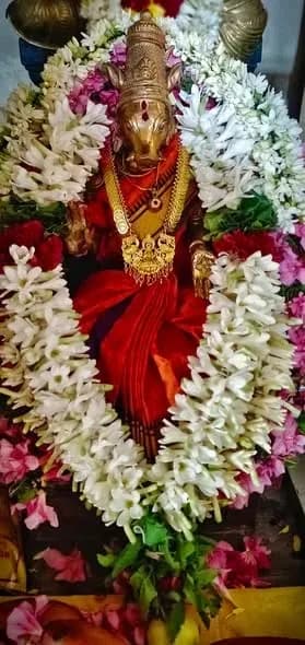 Sri Varahi Temple 31