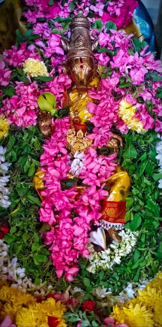 Navaratri Celebration